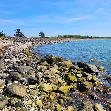 Cozy On Fehmarn 公寓