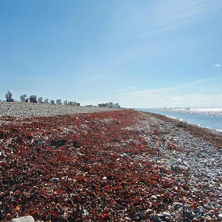 公寓 Cozy On Fehmarn Petersdorf auf Fehmarn